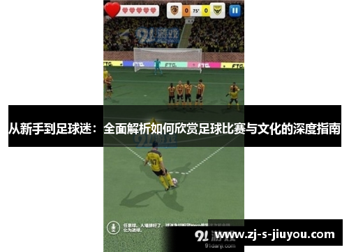 从新手到足球迷：全面解析如何欣赏足球比赛与文化的深度指南