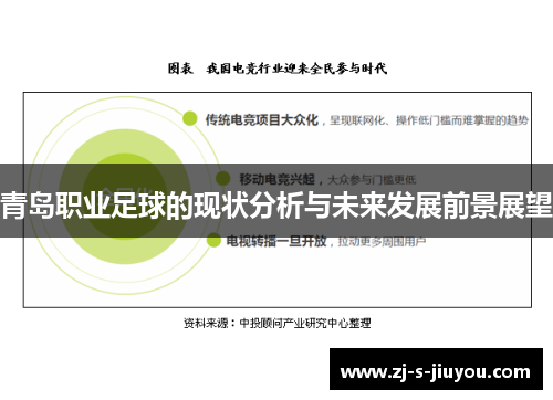 青岛职业足球的现状分析与未来发展前景展望