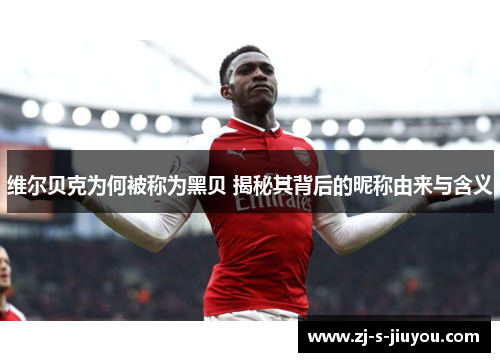 维尔贝克为何被称为黑贝 揭秘其背后的昵称由来与含义