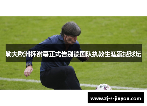 勒夫欧洲杯谢幕正式告别德国队执教生涯震撼球坛